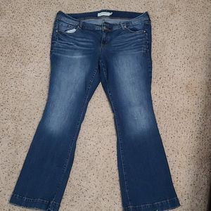 Torrid jeans